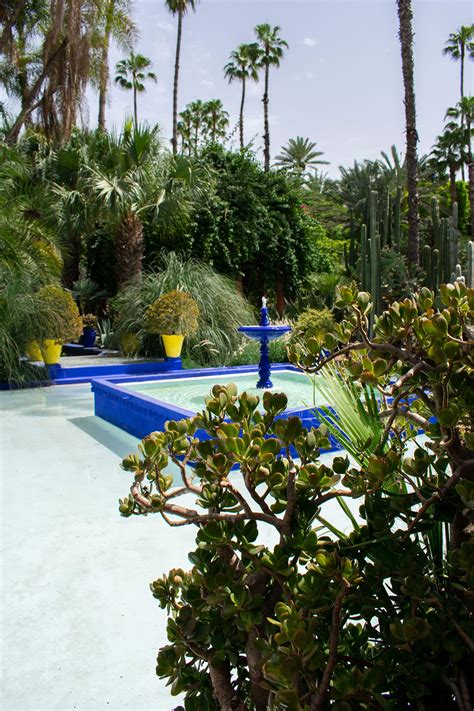 jardin majorelle musee yves saint laurent|jardin majorelle.